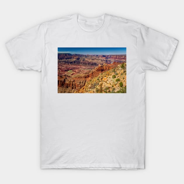 90591  Navajo Point Grand Canyon T-Shirt by Gestalt Imagery